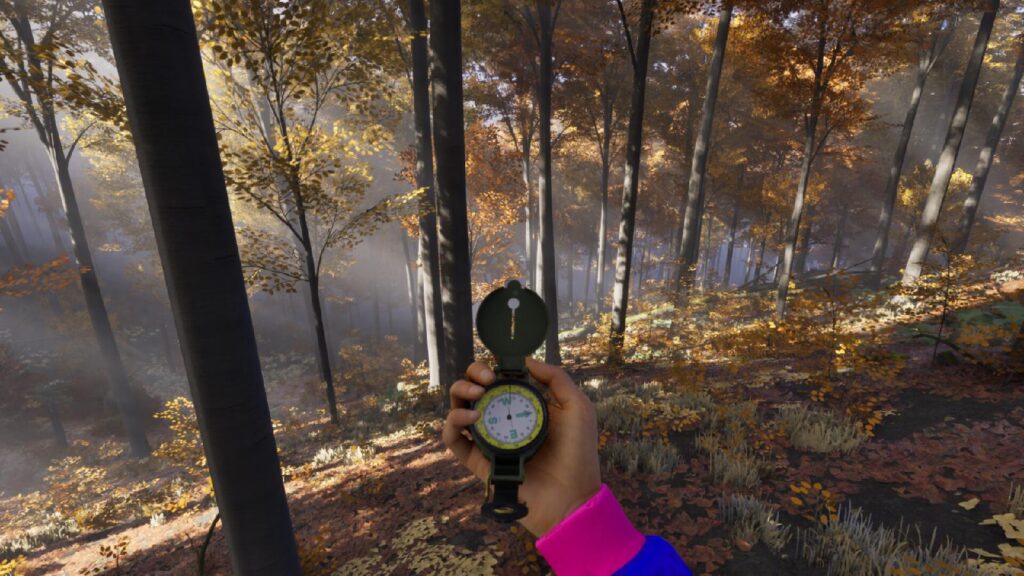 a player holding a compass in Prologue: Go Wayback!